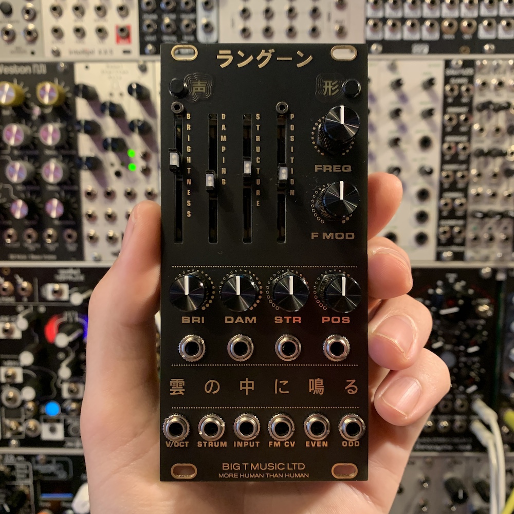 Big T Music Rangoon Eurorack Rings Reissue Module (Black/Gold) [B-Stock]